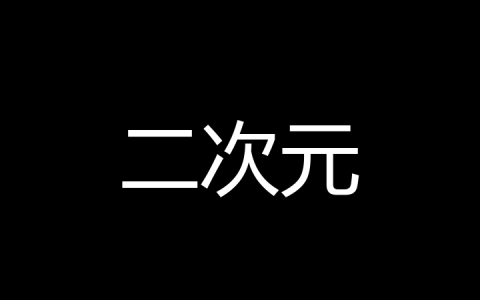 二次元是什么梗