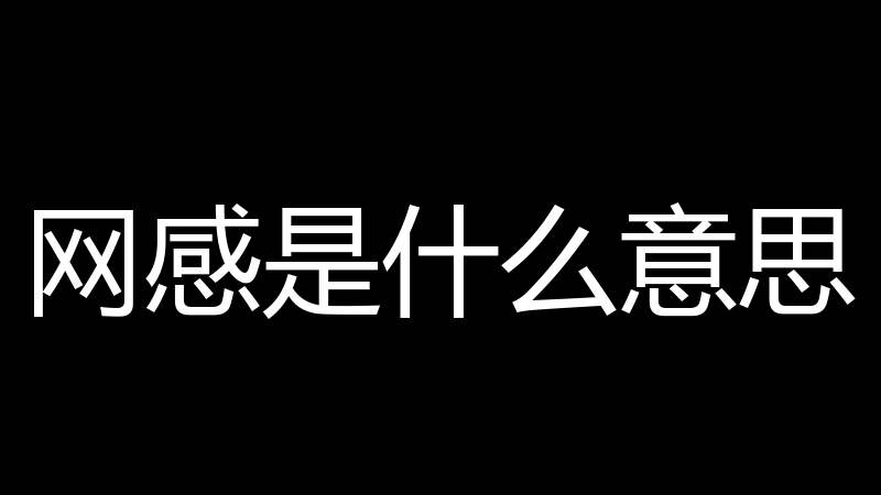 网感是什么意思