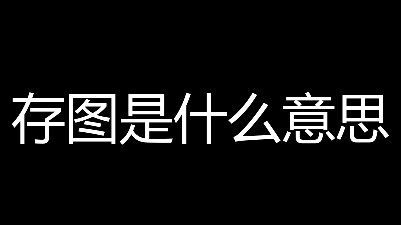 存图是什么意思