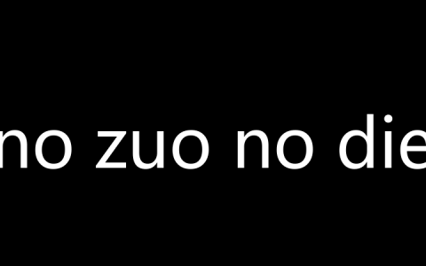 no zuo no die是什么梗？