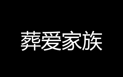 葬爱家族是什么梗？