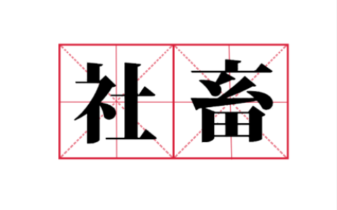 社畜是什么梗？