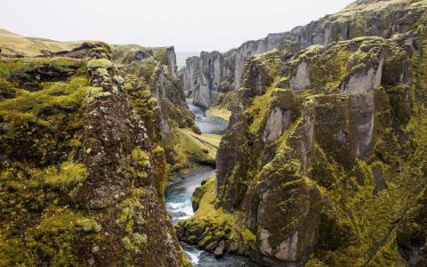 鸭梨是什么梗？