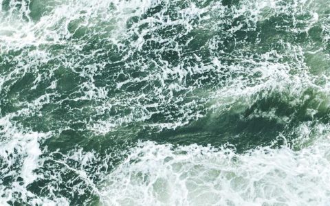 元芳你怎么看是什么梗？