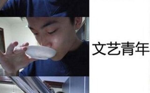 普通青年文艺青年2B青年是什么梗？