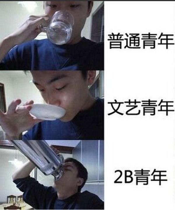 普通青年文艺青年2B青年是什么梗?
