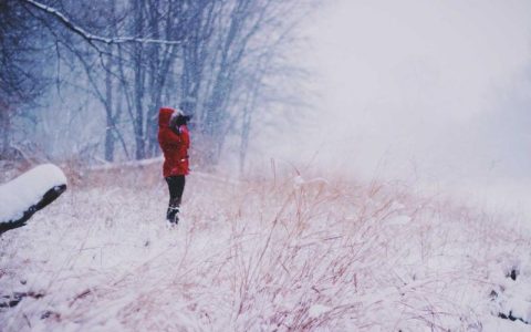 赢麻了是什么梗？