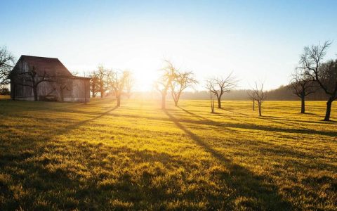 战斗民族是什么梗？