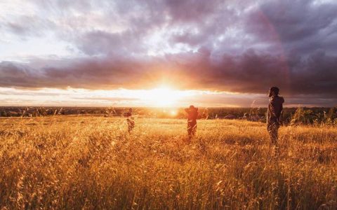 达瓦里氏是什么梗？