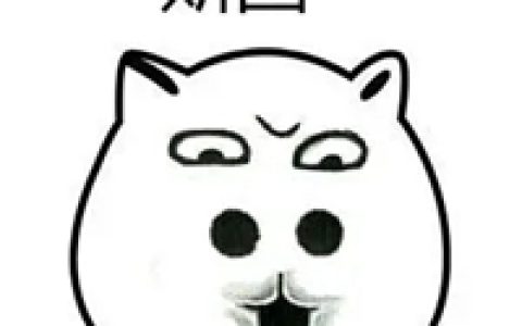 斯国一是什么梗？