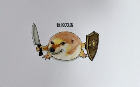 我的刀盾是什么梗？
