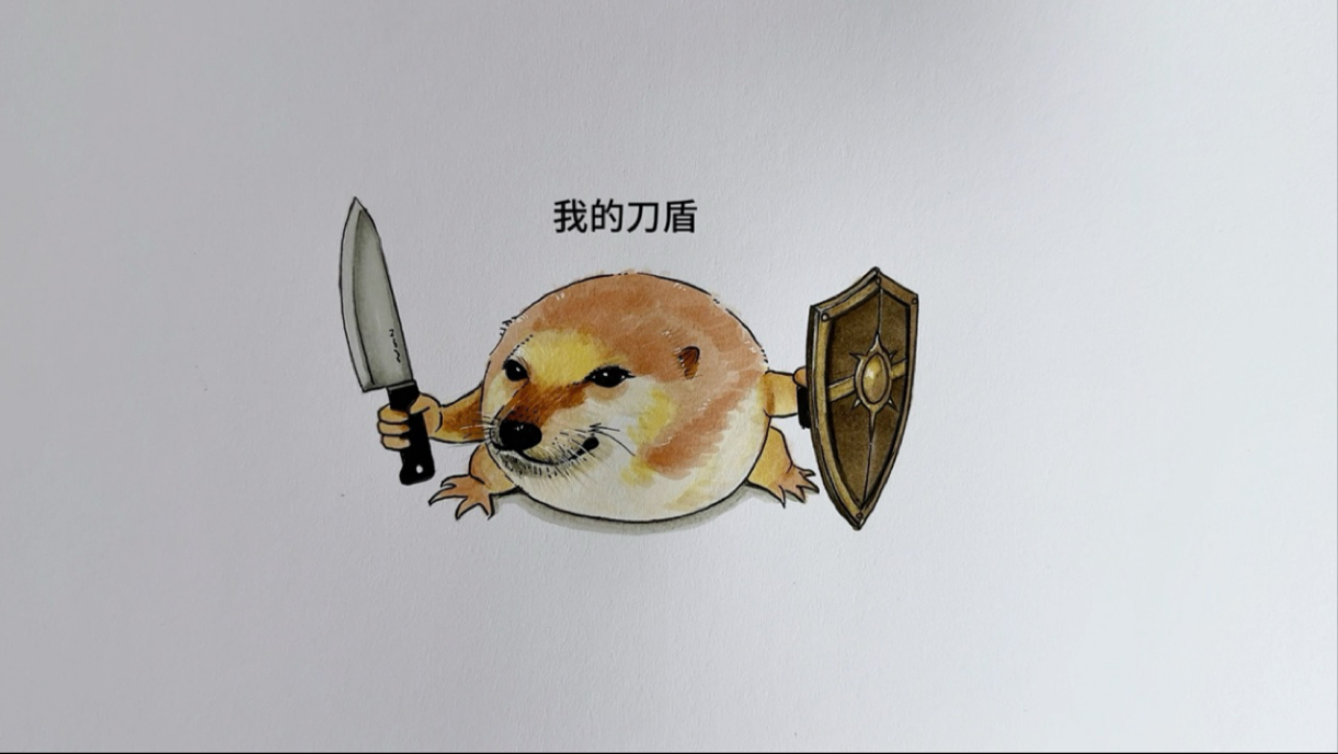 我的刀盾是什么梗？